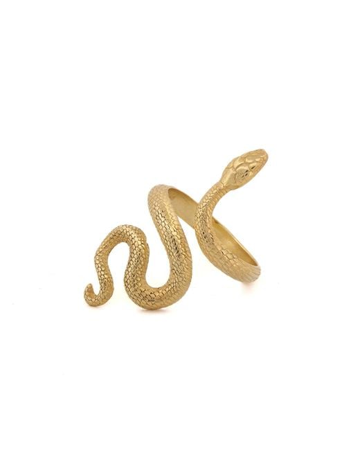 Ebru Jewelry Metallic Cycle Of Life Snake Vermeil Ring