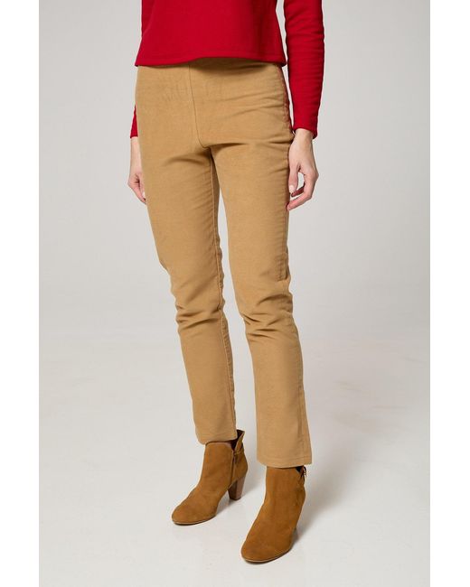 K-Win London Natural Classic Moleskin Trousers
