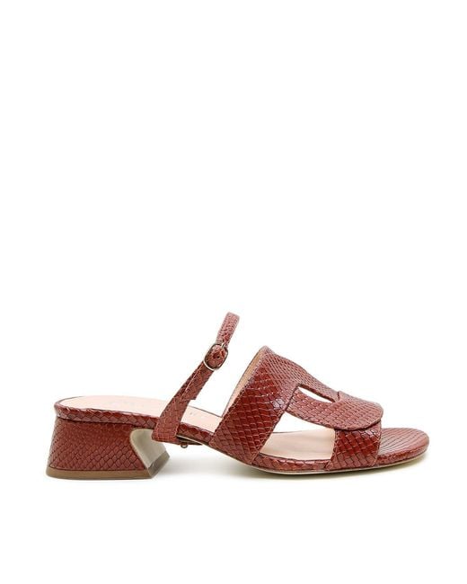 Alterre Brown Snake Twiggy Loop Sandal