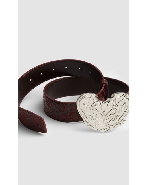 PREVU Brown Regan Belt