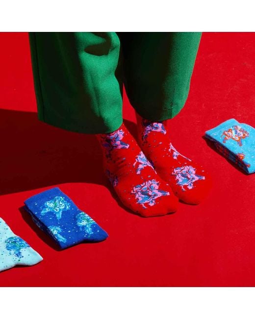 Arto. Blue Hello Flower Socks- Contrast Aqua Two Pack