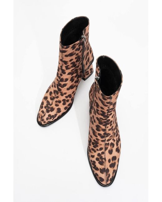 Prologue Shoes Brown Alba Leopard Block Heel Boot