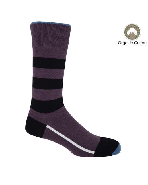 Peper Harow - Made in England Blue Organic Sports Socks Bundle – for men
