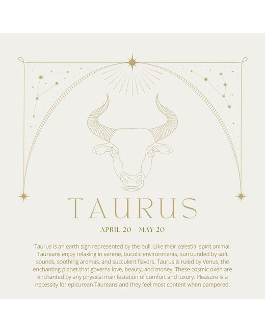 Cier Metallic Taurus Zodiac Necklace