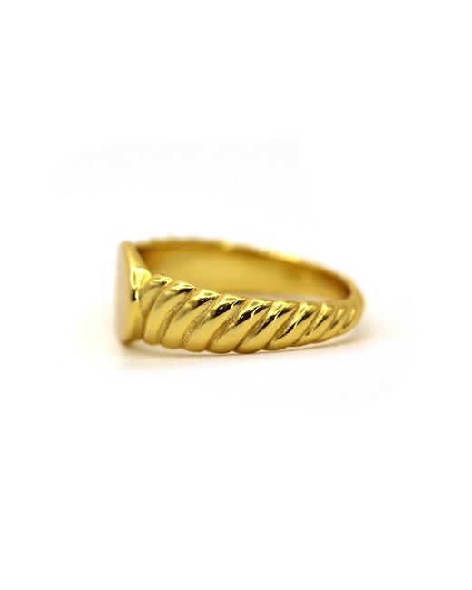VicStoneNYC Fine Jewelry Yellow Screw Band Design Oval Signet Ring for men