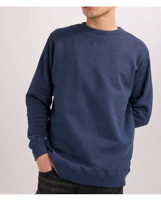 Known Supply Blue 100% Organic Cotton Sweatshirt