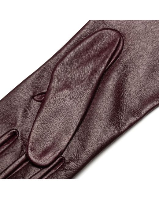 1861 Glove Manufactory Brown Ravello