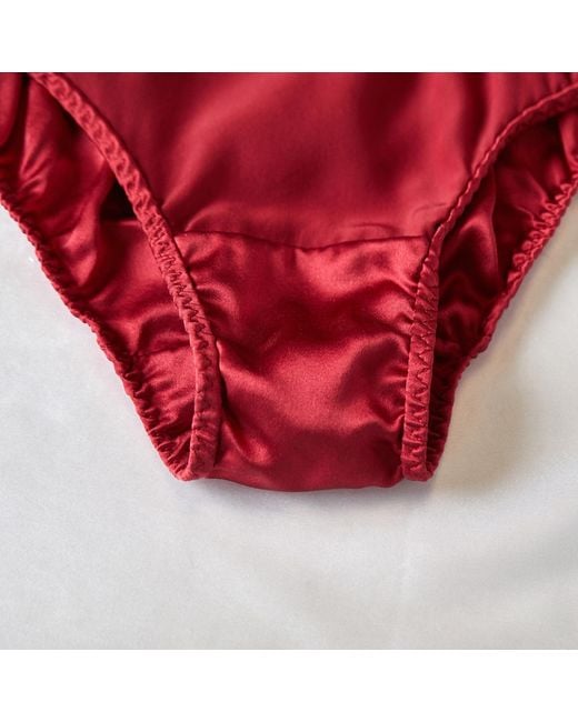 Soft Strokes Silk Red Set Of Two Pure Mulberry Silk French Cut Panties