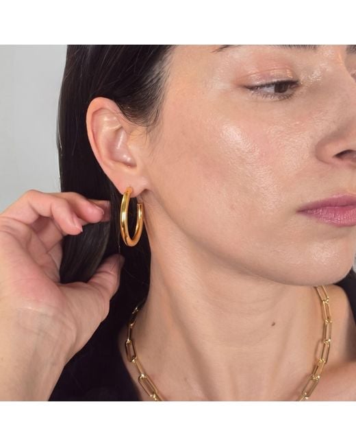 Harfi Metallic Simply Chunky Plated Hoop Stud Earrings