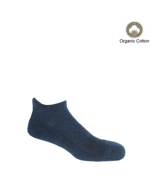 Peper Harow - Made in England Blue Organic Sports Socks Bundle for men