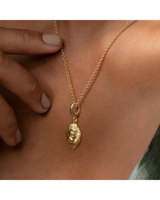 Lily Charmed Metallic Plated Lion Head Zodiac Charm Necklace