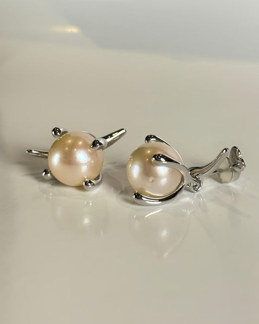 Smuccii Metallic Solenne