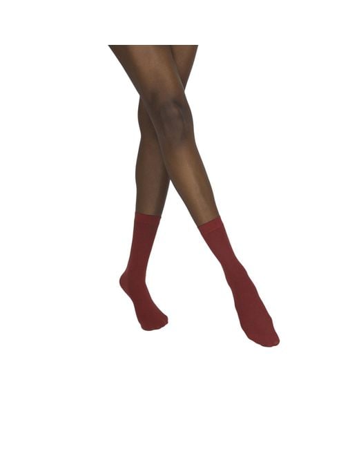 Hedoine Brown The Rib