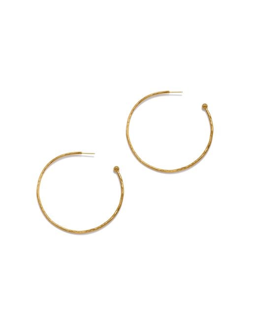 Jaredjamin White Small Hooptastic Hoop Post Earrings