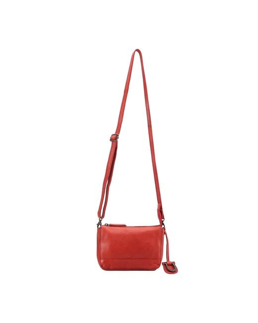 Lloyd Baker Red Flora