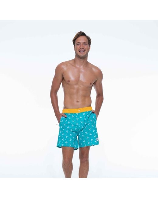 Live Kolibri Blue Luxury Swim Trunks for men