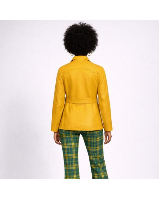 Zasta Studio Yellow Old Fashioned