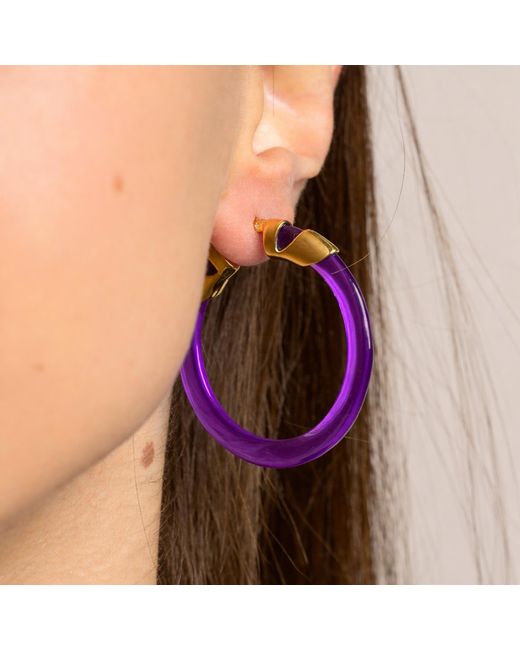 Gold & Honey Purple Amethyst Classic Flat Lucite Birthstone Hoop Earrings