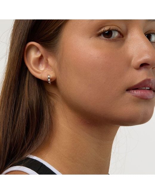 Dolcetto Designs Metallic Cestius Earring
