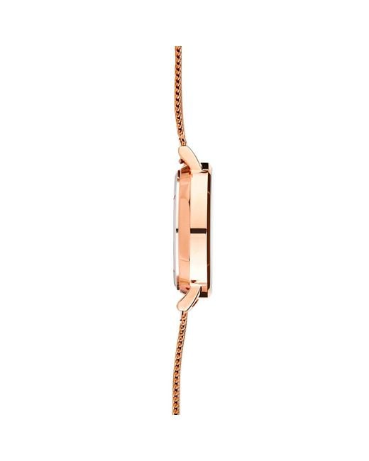 Bermuda Watch Company Annie Apple Marseille Seashell Rose Gold & Pink Multifunctional Interchangeable