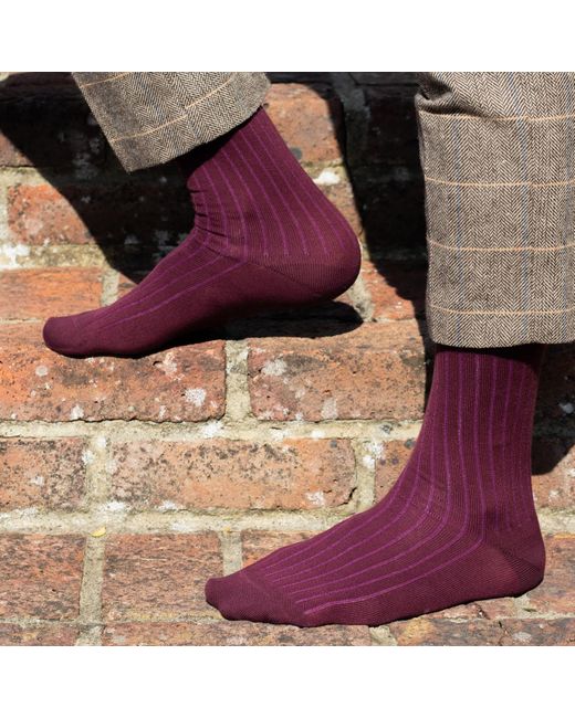 Peper Harow - Made in England Pink Three Pack Essential Socks for men