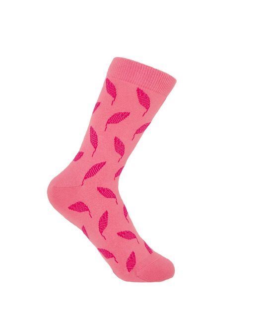 Peper Harow - Made in England Pink Leaf & Scarlet Mayfair Socks Two Pack