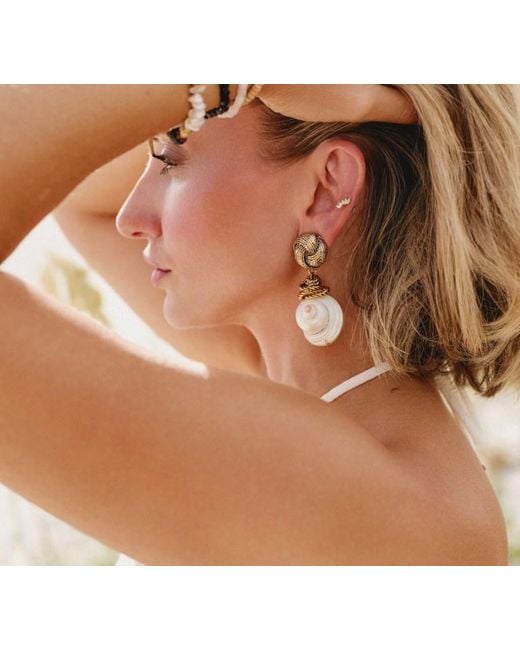 Adriana Pappas Designs Metallic Shell Knot Clip Earrings