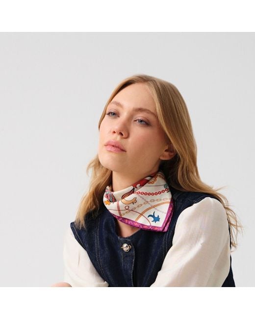 Iodes Multicolor Human Factor Aura Foulard