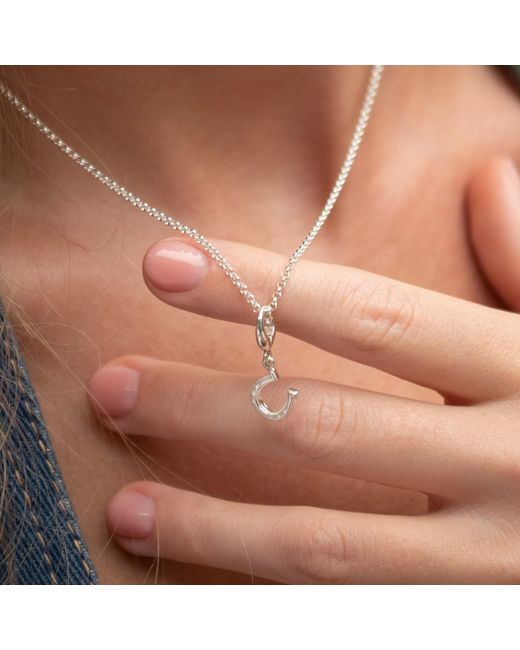 Lily Charmed Metallic Sterling Lucky Horseshoe Charm Necklace