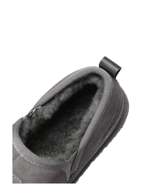 EverAu Australia Gray Galah Slip On for men