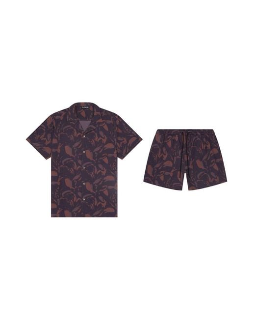 Playaluxe Purple Saint Tropez Cabana Set Espresso for men