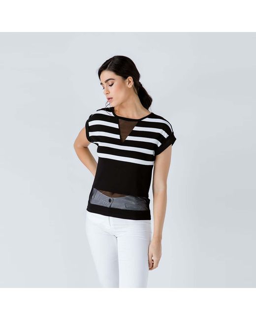Conquista Black Striped Top With Sheer Detail