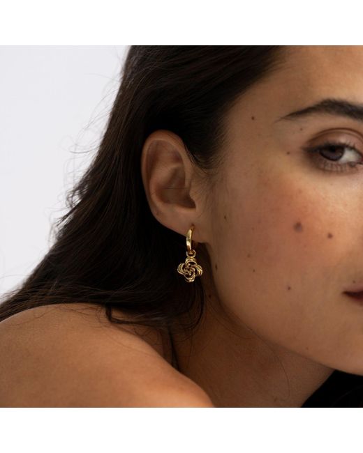 SEREIA OFFICIAL Metallic Camilla Earrings