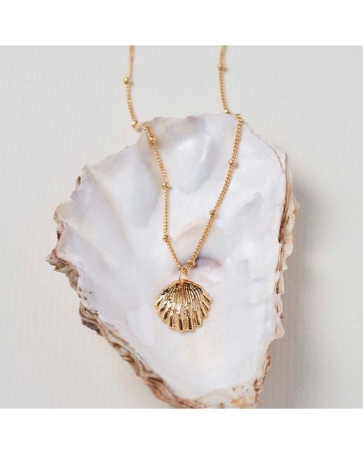 Muru Metallic Shell Necklace