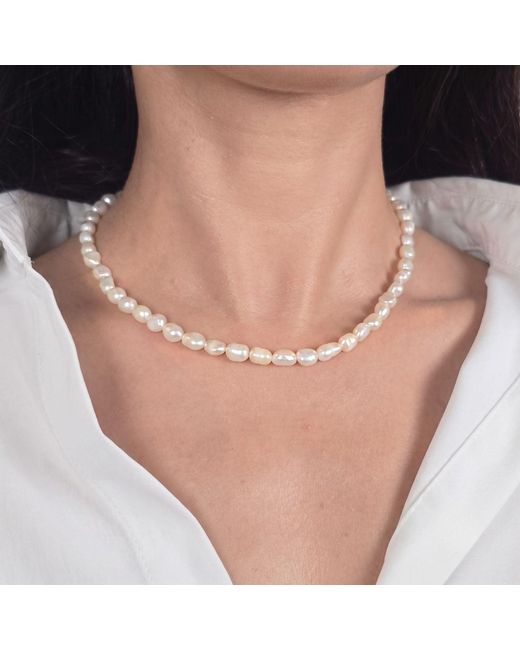 Harfi Metallic Plated Natural Freshwater Pearl Choker Necklace