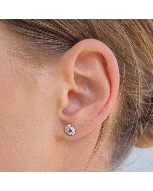 Lee Renee Blue Ammonite Sapphire Earrings