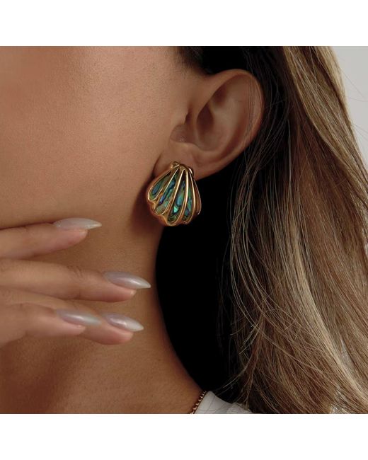 Olivia Le Metallic Seashell Framed Earrings