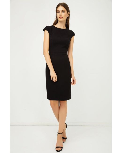 Conquista Black Solid Colour Dress With Cap Sleeves Color