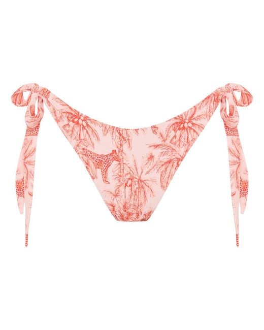 Soleil State Pink Jungle Muse