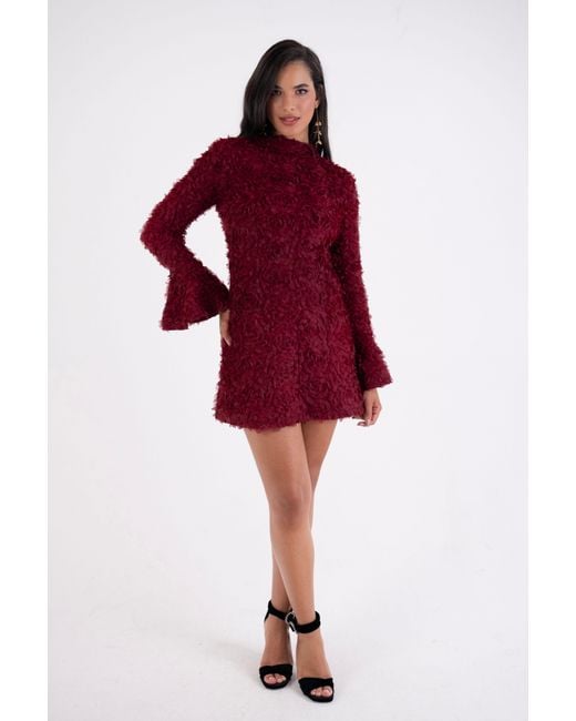 Amy Lynn Delphine Burgundy 3D Floral Textured Mini Dress