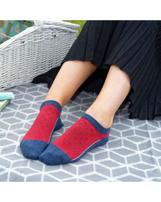 Peper Harow - Made in England Red Organic Trainer Socks Bundle – Burgundy