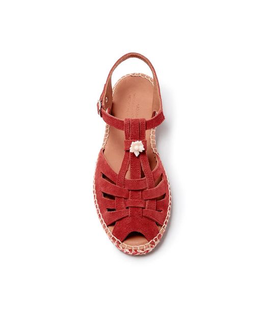 Naguisa Red Musel Bicolor