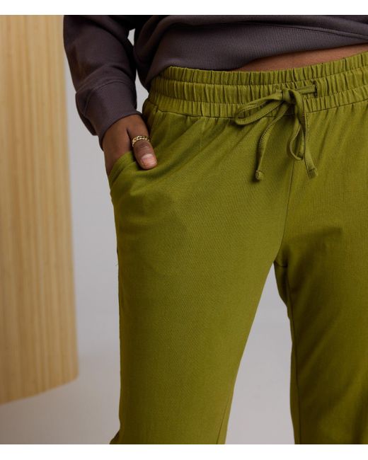 Known Supply Green Mendocino Pant