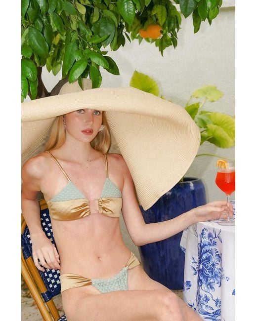 Belletage Swimwear Green Neutrals The Solaria Dotted Overlay Bikini Top