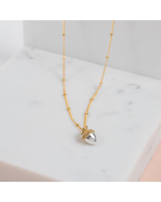 Auree Jewellery Metallic Sherwood And Vermeil Acorn Necklace