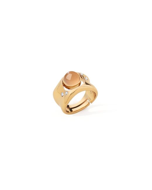 Retro Chic Metallic Neutrals Dawn Light Wide Ring