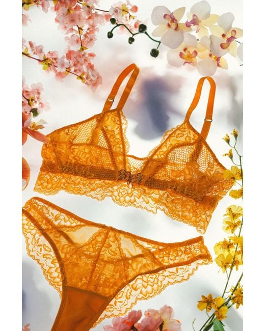 Empress Mimi Orange Queen Bee Lace G-String