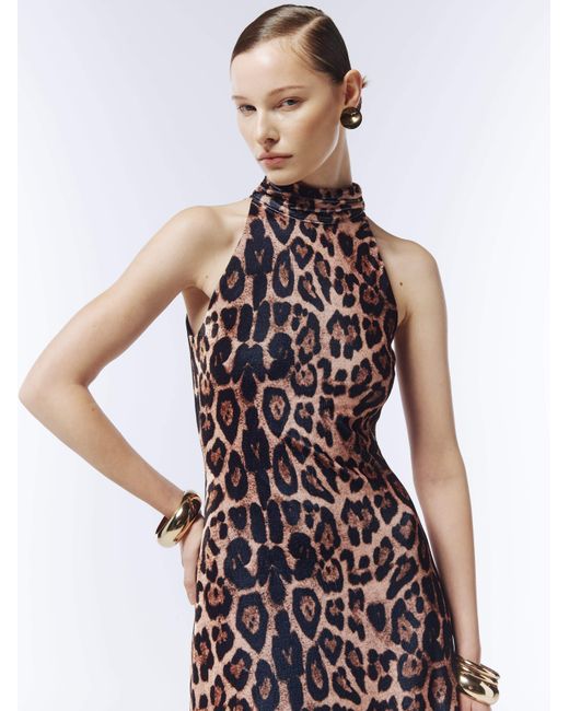 Sour Figs Brown Neutrals Halterneck Leopard Velvet Maxi Dress