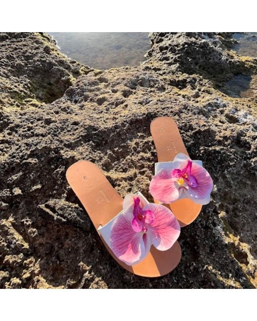 Sibylla Delphica Pink Calanthe Flat Leather Sandals