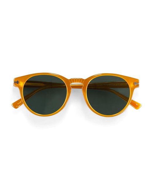 &SONS Trading Co Brown Sons Vincent Sunglasses Amber